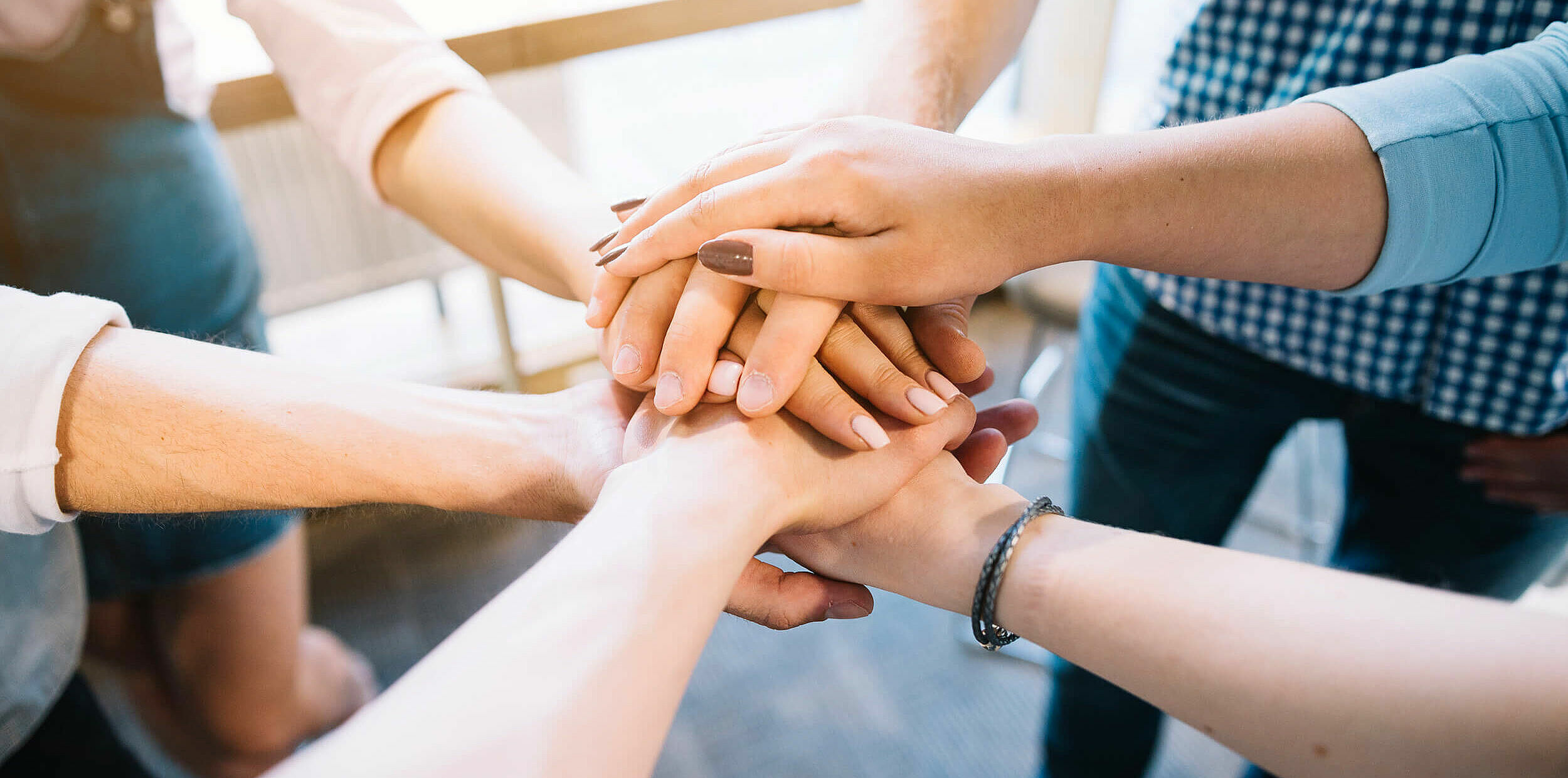 Kooperationspartner - BVS Industrie-Elektronik GmbH