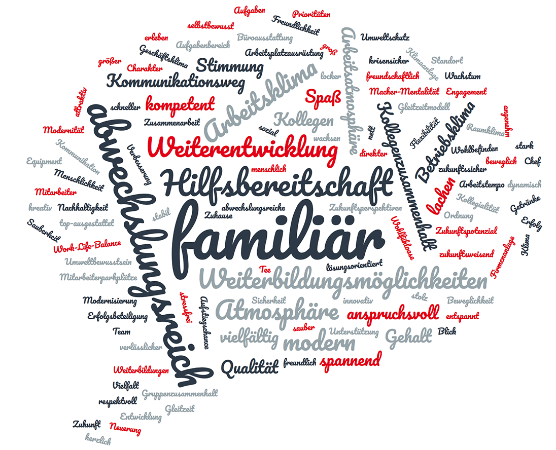 BVS Industrie-Elektronik