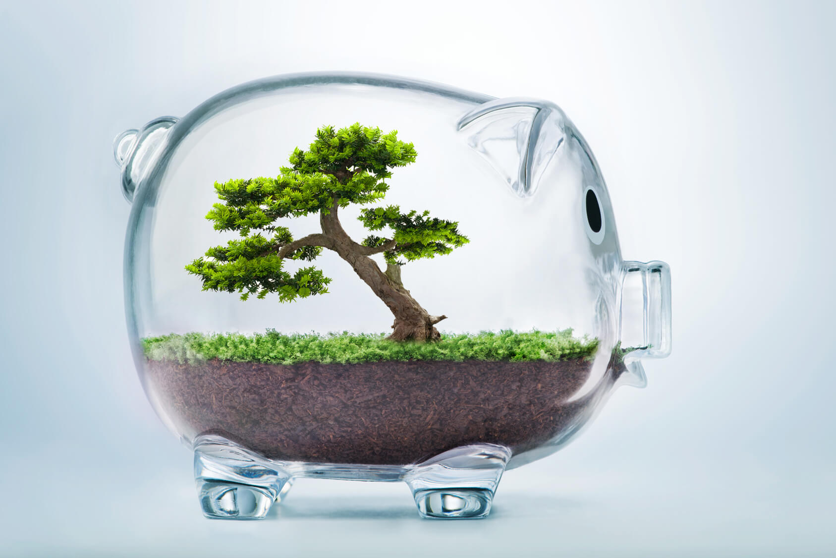 ECOFIT - ökologische Vorteile - BVS Industrie-Elektronik