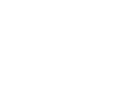 DMSZ - BVS Industrie-Elektronik GmbH