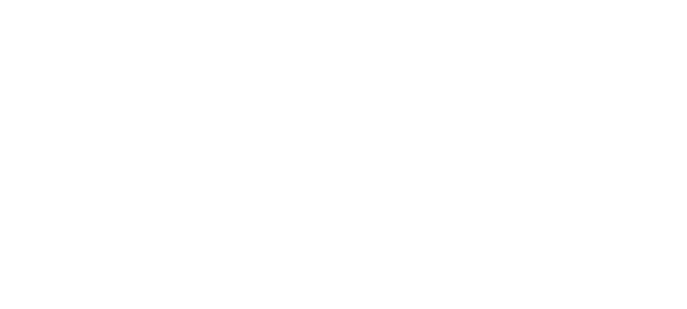 Referenz - ebmPapst - BVS Industrie-Elektronik