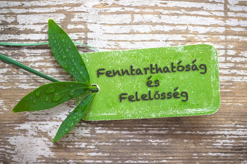 go green - BVS Industrie-Elektronik