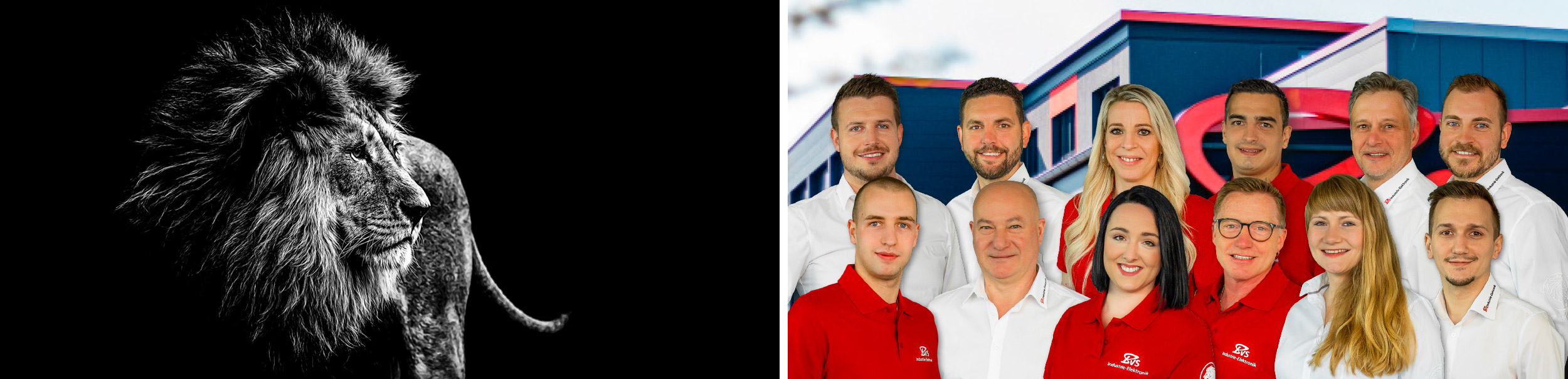 Löwenstarkes Team - BVS Industrie-Elektronik