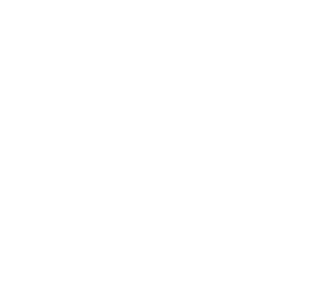 24/7-Hotline - BVS Industrie-Elektronik